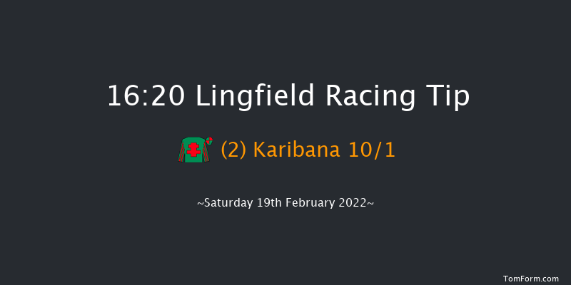 Lingfield 16:20 Handicap (Class 2) 7f Fri 18th Feb 2022