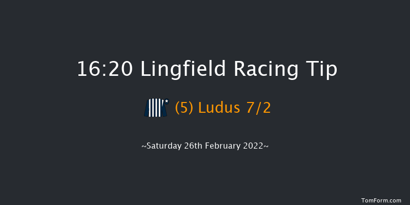 Lingfield 16:20 Stakes (Class 5) 8f Fri 25th Feb 2022