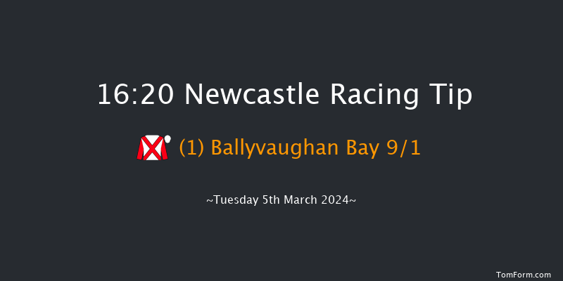 Newcastle  16:20 Handicap
Hurdle (Class 5) 20f Sun 3rd Mar 2024