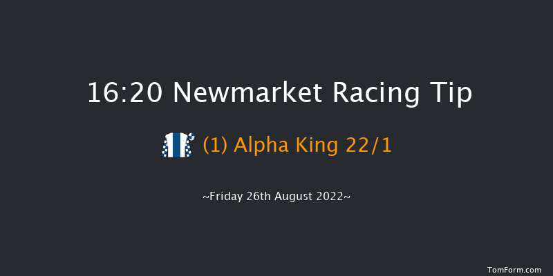 Newmarket 16:20 Handicap (Class 5) 10f Sat 13th Aug 2022