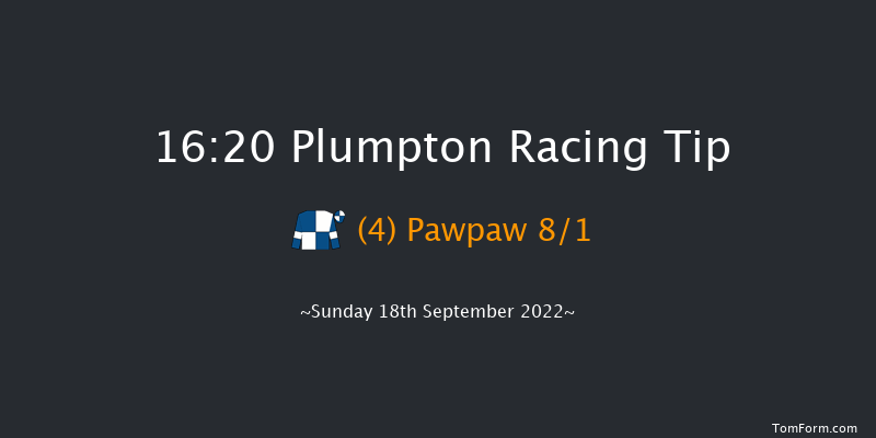 Plumpton 16:20 Handicap Hurdle (Class 5) 20f Sun 8th May 2022