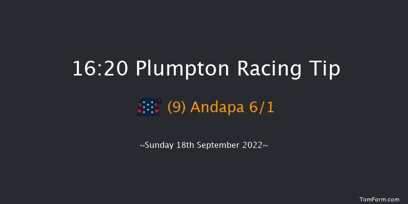 Plumpton 16:20 Handicap Hurdle (Class 5) 20f Sun 8th May 2022