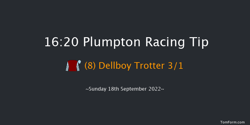 Plumpton 16:20 Handicap Hurdle (Class 5) 20f Sun 8th May 2022