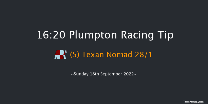 Plumpton 16:20 Handicap Hurdle (Class 5) 20f Sun 8th May 2022