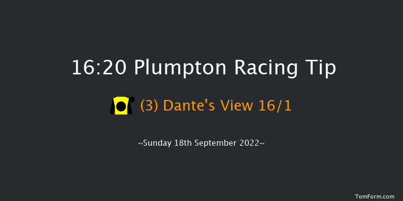 Plumpton 16:20 Handicap Hurdle (Class 5) 20f Sun 8th May 2022