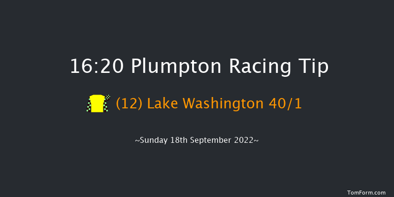 Plumpton 16:20 Handicap Hurdle (Class 5) 20f Sun 8th May 2022