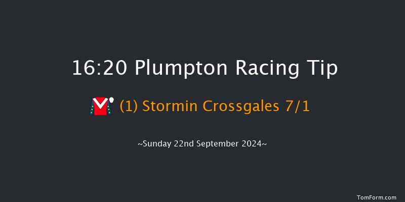 Plumpton  16:20 Handicap Chase (Class 4) 17f  Sun 12th May 2024