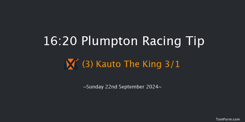 Plumpton  16:20 Handicap Chase (Class 4) 17f  Sun 12th May 2024