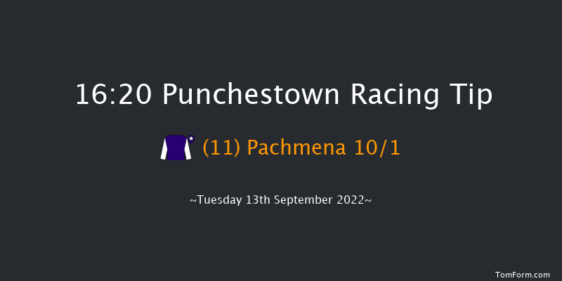 Punchestown 16:20 Handicap 9f Sun 29th May 2022