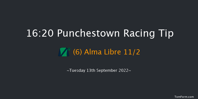 Punchestown 16:20 Handicap 9f Sun 29th May 2022