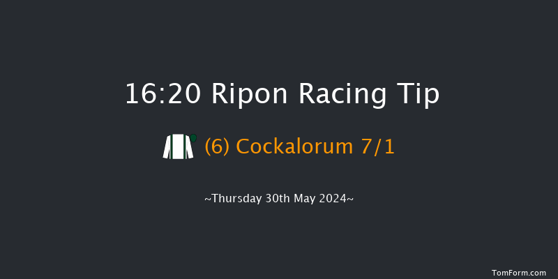 Ripon  16:20 Handicap (Class 3) 10f Sun 19th May 2024