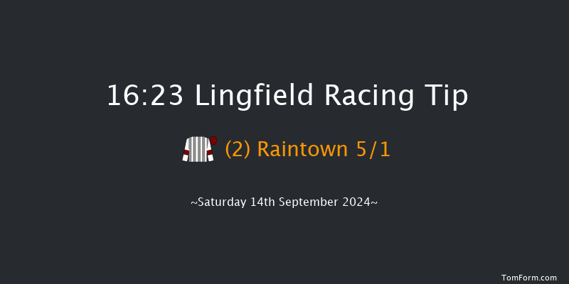 Lingfield  16:23 Handicap (Class 5) 12f Wed 11th Sep 2024