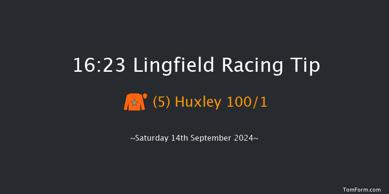 Lingfield  16:23 Handicap (Class 5) 12f Wed 11th Sep 2024