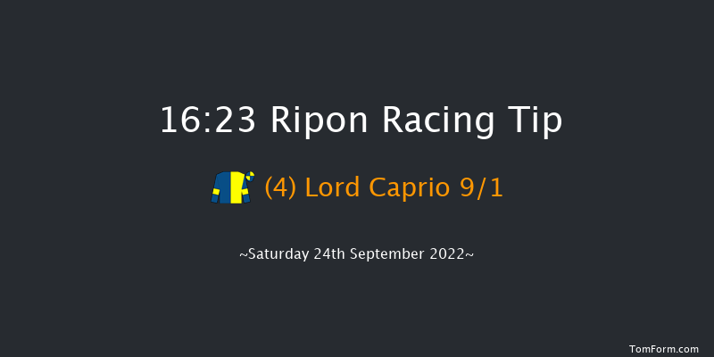 Ripon 16:23 Handicap (Class 4) 16f Tue 30th Aug 2022