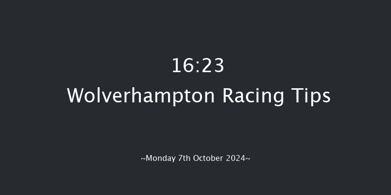 Wolverhampton  16:23 Handicap (Class 5) 10f Sat 5th Oct 2024