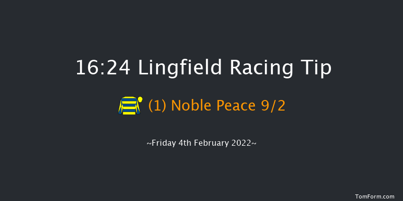 Lingfield 16:24 Handicap (Class 5) 10f Sat 29th Jan 2022