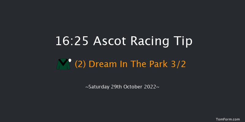 Ascot 16:25 Handicap Hurdle (Class 4) 19f Sat 15th Oct 2022