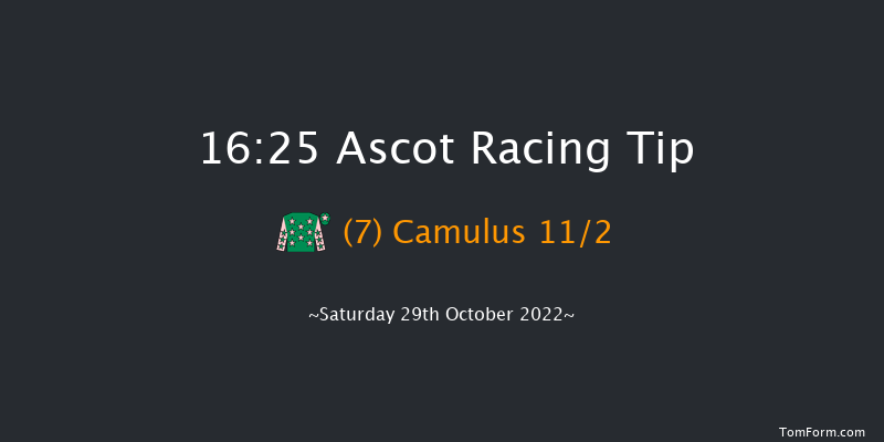 Ascot 16:25 Handicap Hurdle (Class 4) 19f Sat 15th Oct 2022