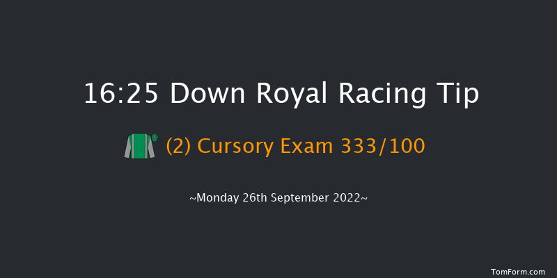 Down Royal 16:25 Handicap 10f Fri 2nd Sep 2022