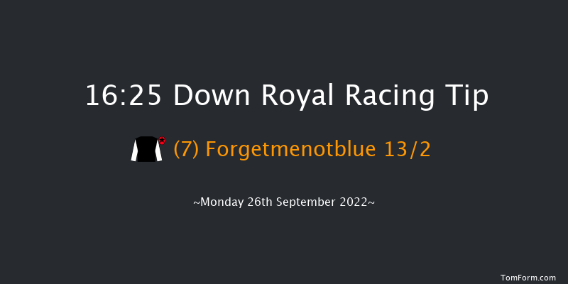 Down Royal 16:25 Handicap 10f Fri 2nd Sep 2022