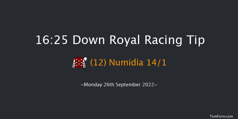 Down Royal 16:25 Handicap 10f Fri 2nd Sep 2022