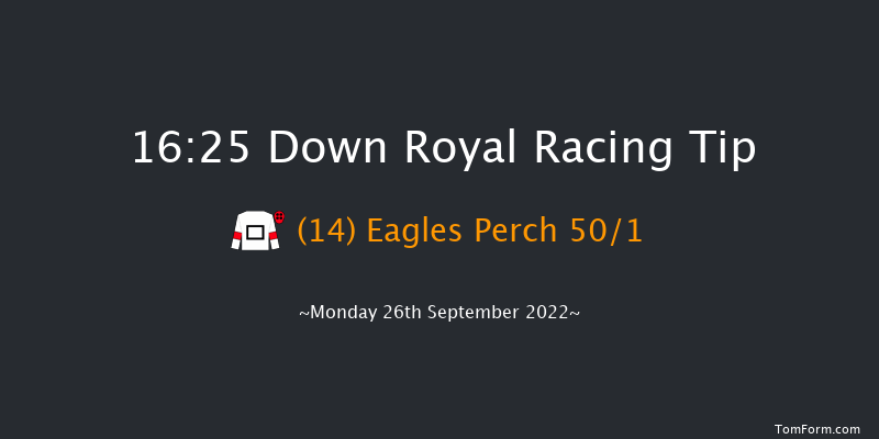 Down Royal 16:25 Handicap 10f Fri 2nd Sep 2022