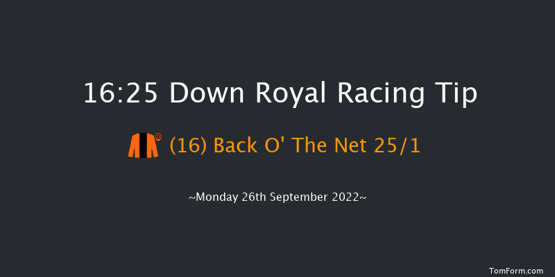 Down Royal 16:25 Handicap 10f Fri 2nd Sep 2022