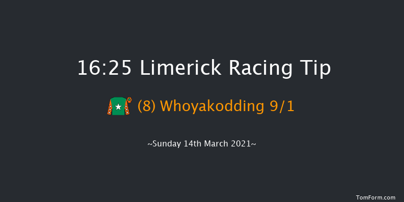 Croom Handicap Hurdle (80-95) Limerick 16:25 Handicap Hurdle 22f Wed 30th Dec 2020