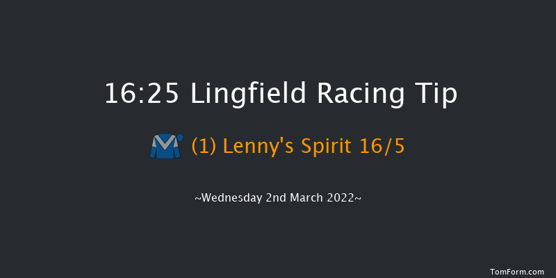 Lingfield 16:25 Handicap (Class 6) 13f Sat 26th Feb 2022