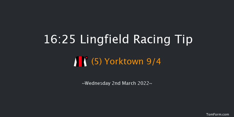 Lingfield 16:25 Handicap (Class 6) 13f Sat 26th Feb 2022