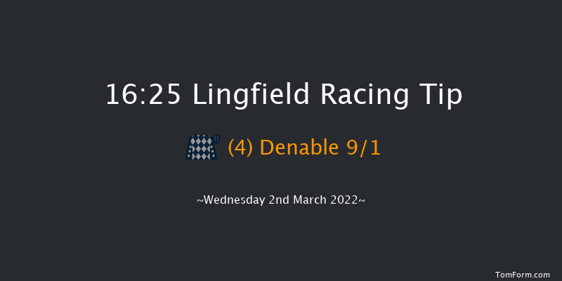 Lingfield 16:25 Handicap (Class 6) 13f Sat 26th Feb 2022