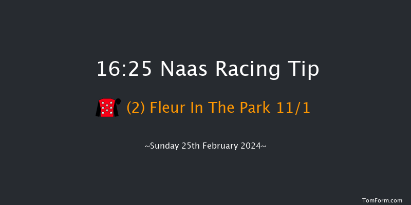 Naas  16:25 NH Flat Race 16f Sat 10th Feb 2024