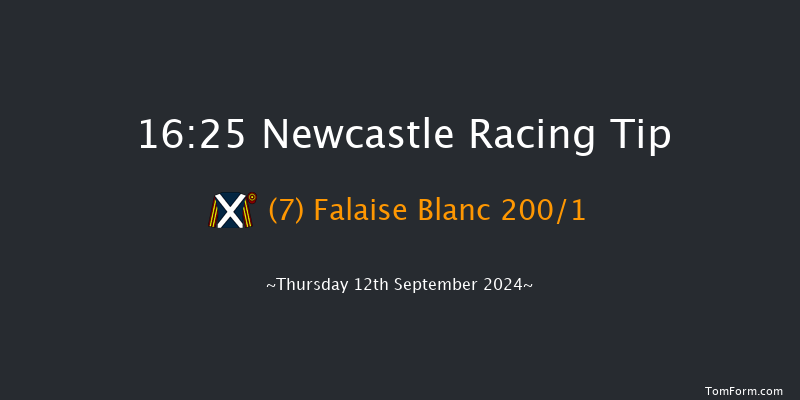 Newcastle  16:25 Stakes (Class 5) 8f Tue 10th Sep 2024