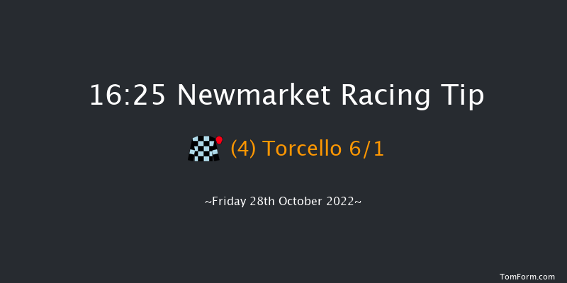 Newmarket 16:25 Handicap (Class 3) 12f Wed 19th Oct 2022