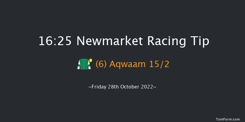 Newmarket 16:25 Handicap (Class 3) 12f Wed 19th Oct 2022