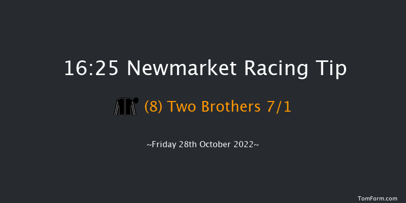 Newmarket 16:25 Handicap (Class 3) 12f Wed 19th Oct 2022