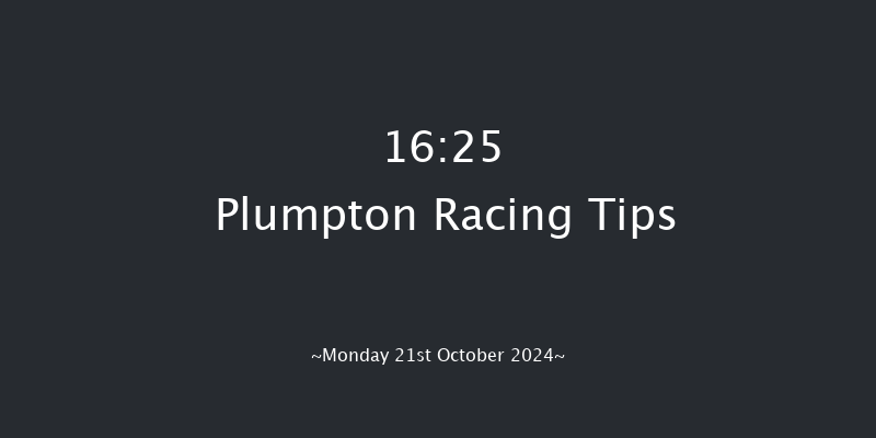 Plumpton  16:25 Handicap Hurdle (Class 4) 16f Sun 22nd Sep 2024