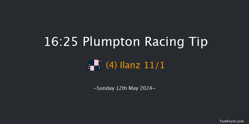 Plumpton  16:25 Handicap Hurdle (Class 3)
20f Sun 14th Apr 2024