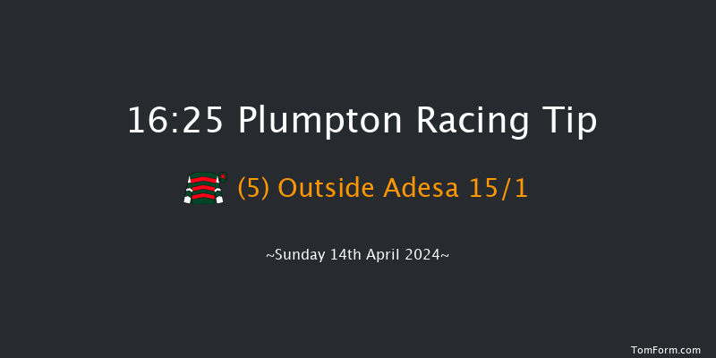 Plumpton  16:25 Handicap Hurdle (Class 5)
20f Mon 1st Apr 2024