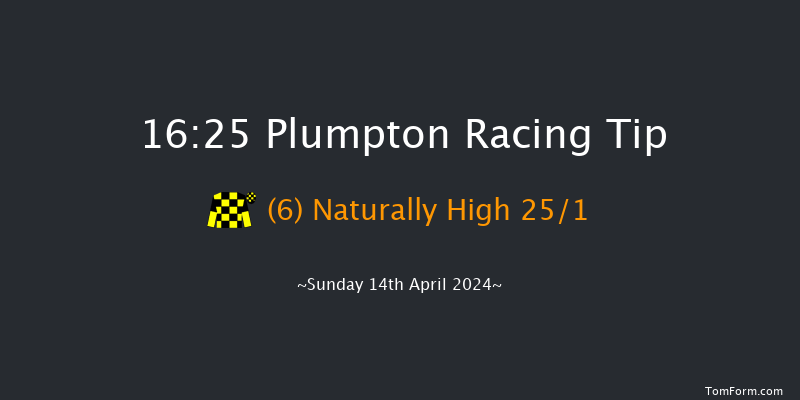 Plumpton  16:25 Handicap Hurdle (Class 5)
20f Mon 1st Apr 2024