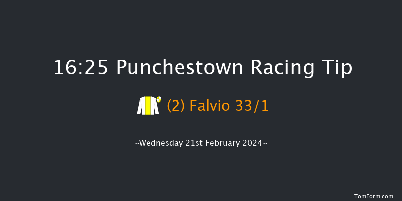 Punchestown  16:25 Handicap Hurdle 20f Sun 18th Feb 2024