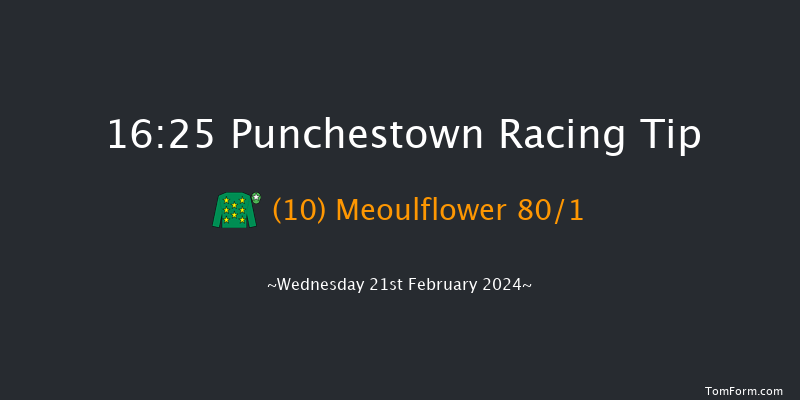 Punchestown  16:25 Handicap Hurdle 20f Sun 18th Feb 2024