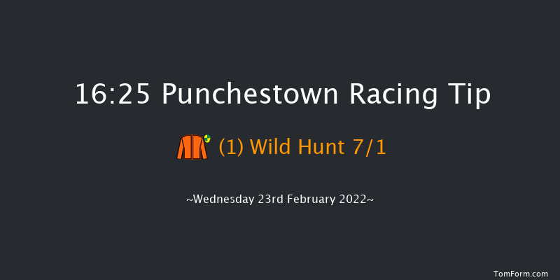 Punchestown 16:25 Handicap Hurdle 20f Sun 13th Feb 2022