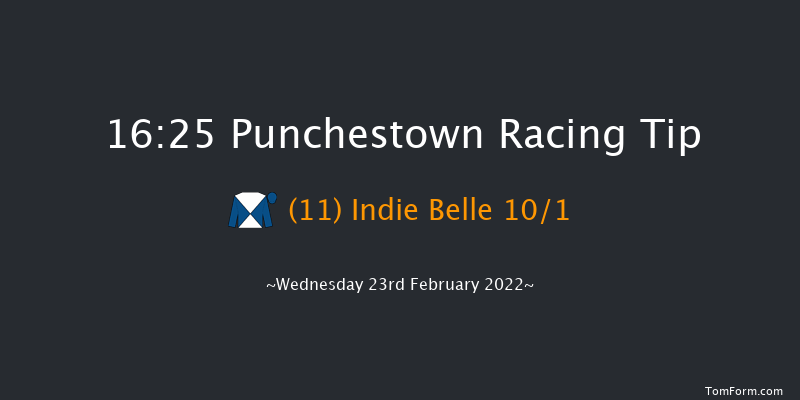 Punchestown 16:25 Handicap Hurdle 20f Sun 13th Feb 2022