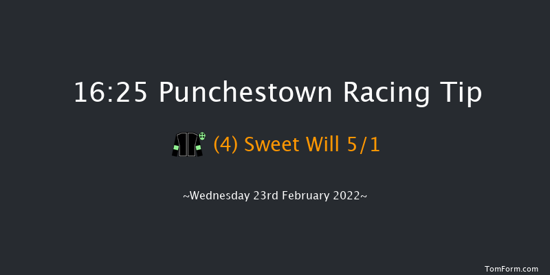 Punchestown 16:25 Handicap Hurdle 20f Sun 13th Feb 2022