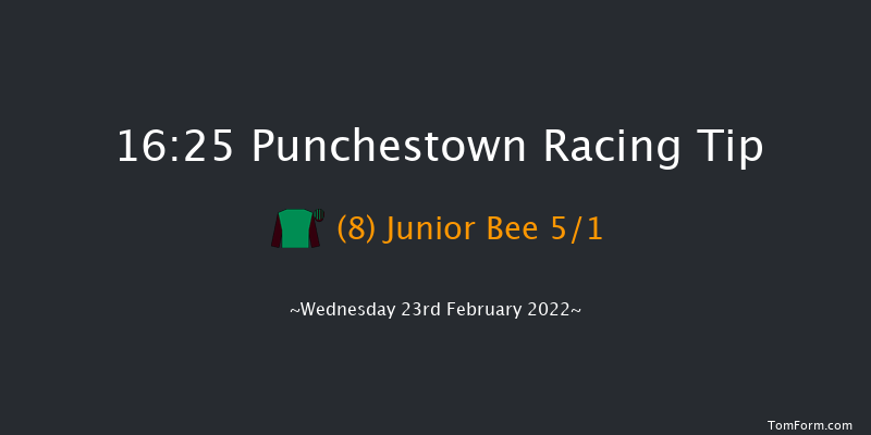 Punchestown 16:25 Handicap Hurdle 20f Sun 13th Feb 2022