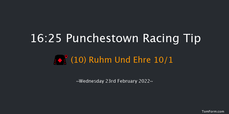 Punchestown 16:25 Handicap Hurdle 20f Sun 13th Feb 2022