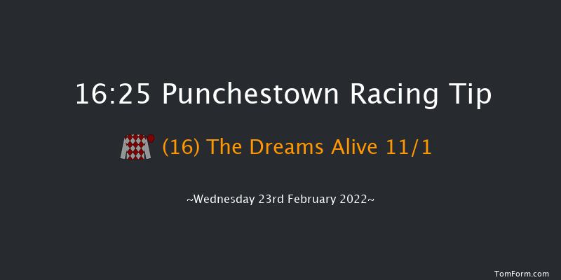 Punchestown 16:25 Handicap Hurdle 20f Sun 13th Feb 2022