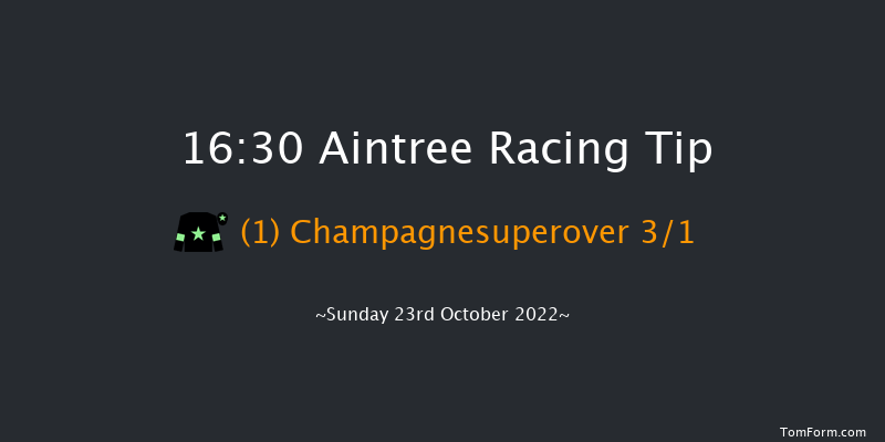 Aintree 16:30 Handicap Chase (Class 3) 25f Fri 10th Jun 2022