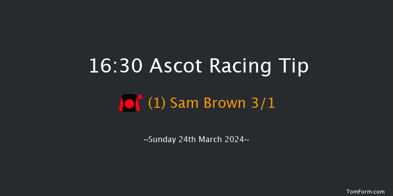 Ascot  16:30 Handicap Chase (Class 2) 24f Sat 17th Feb 2024